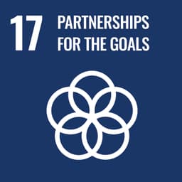 Partner 4